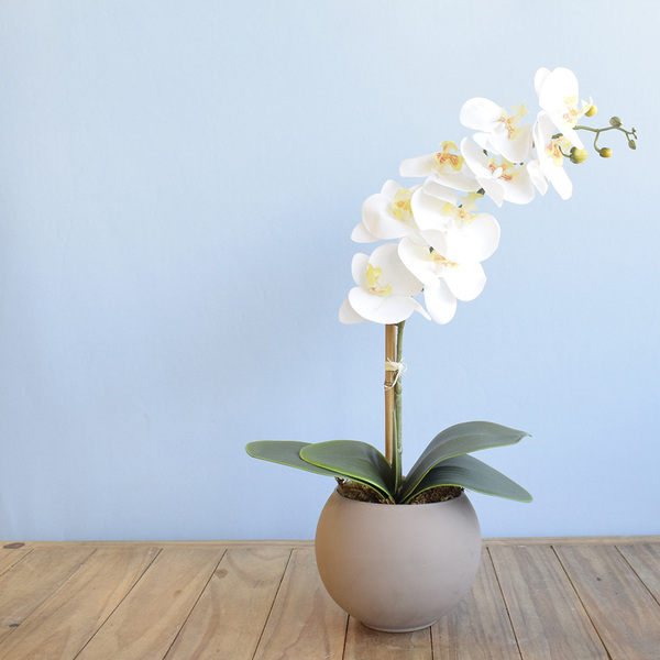 Arranjo Orquídea De Silicone Branca No Vaso M Fendi | Formosi